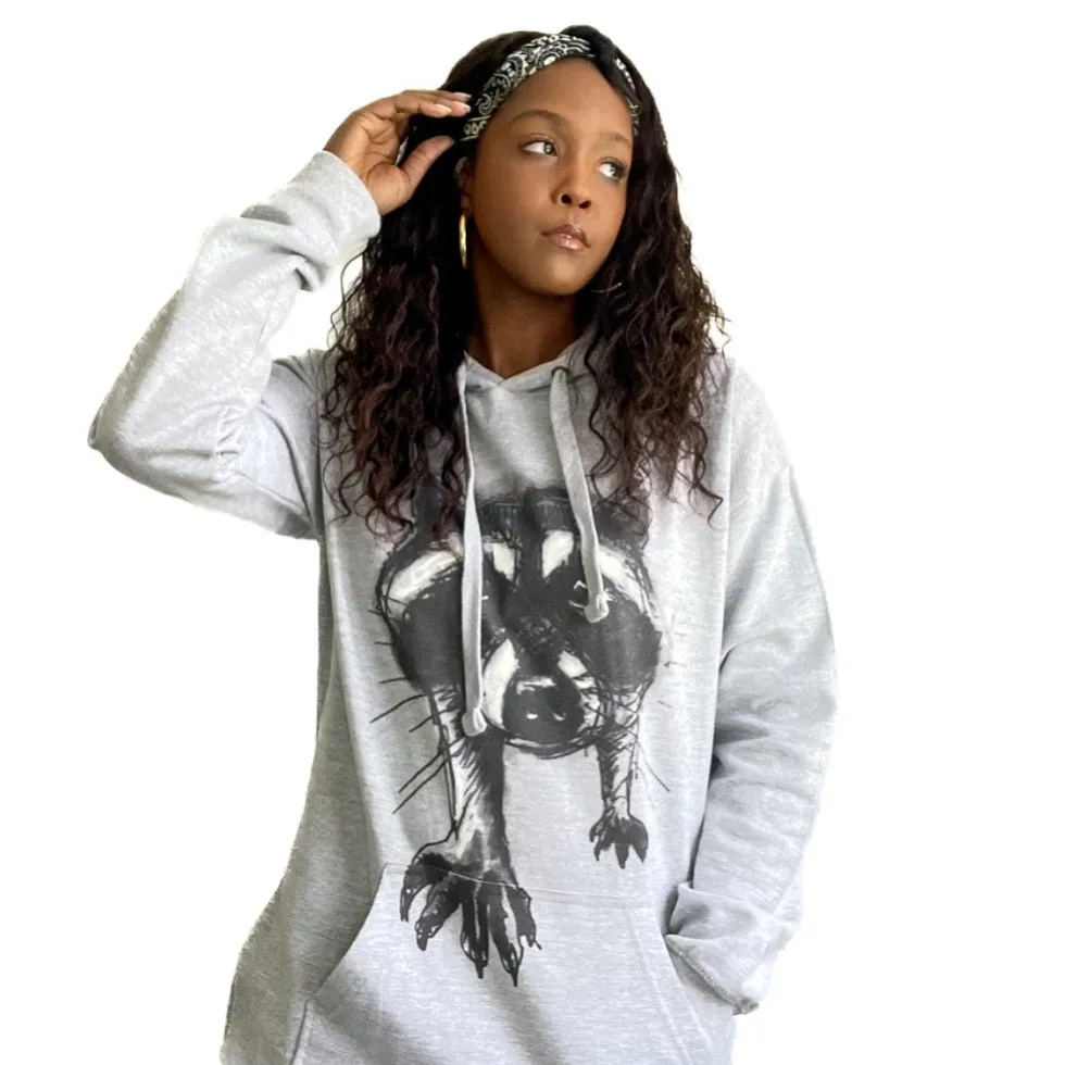 Curious racoon hoodie dress