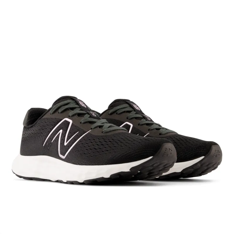 New Balance Women's 520 V8 Running Shoe - W520LB8 (Wide)