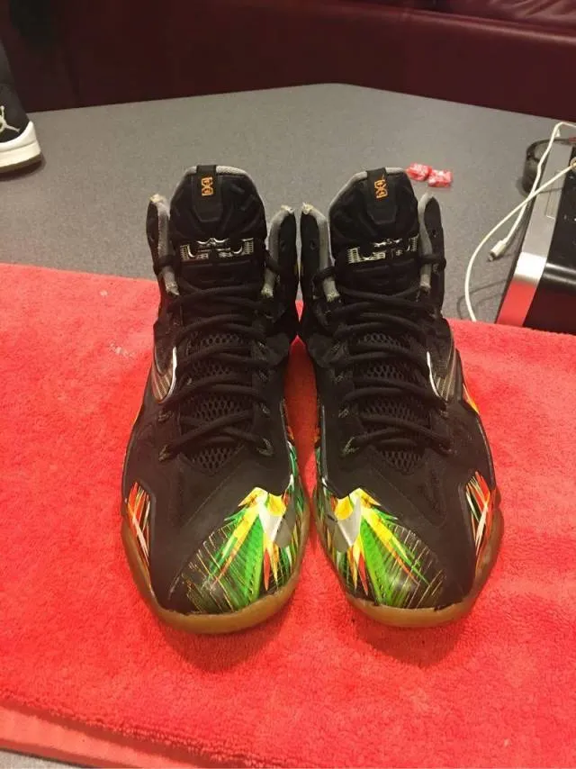 Nike Lebron 11 - Everglades