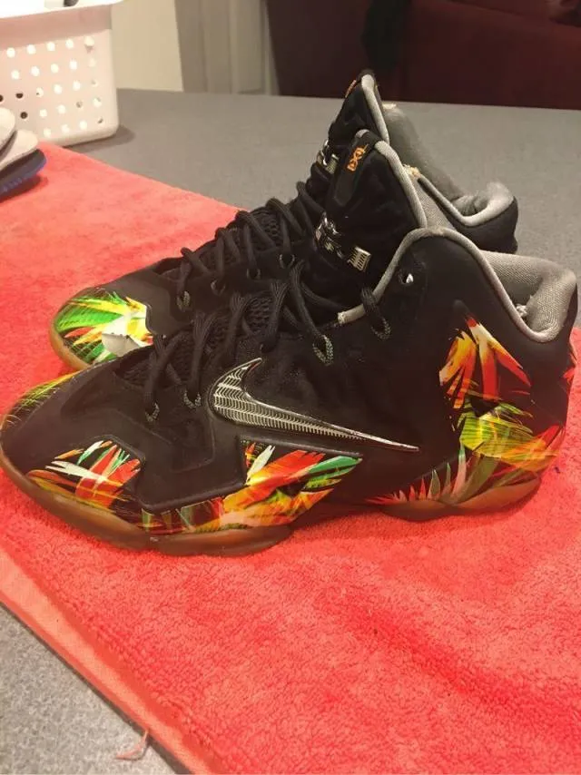 Nike Lebron 11 - Everglades