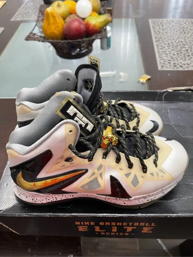 Nike Lebron X elite 2.0