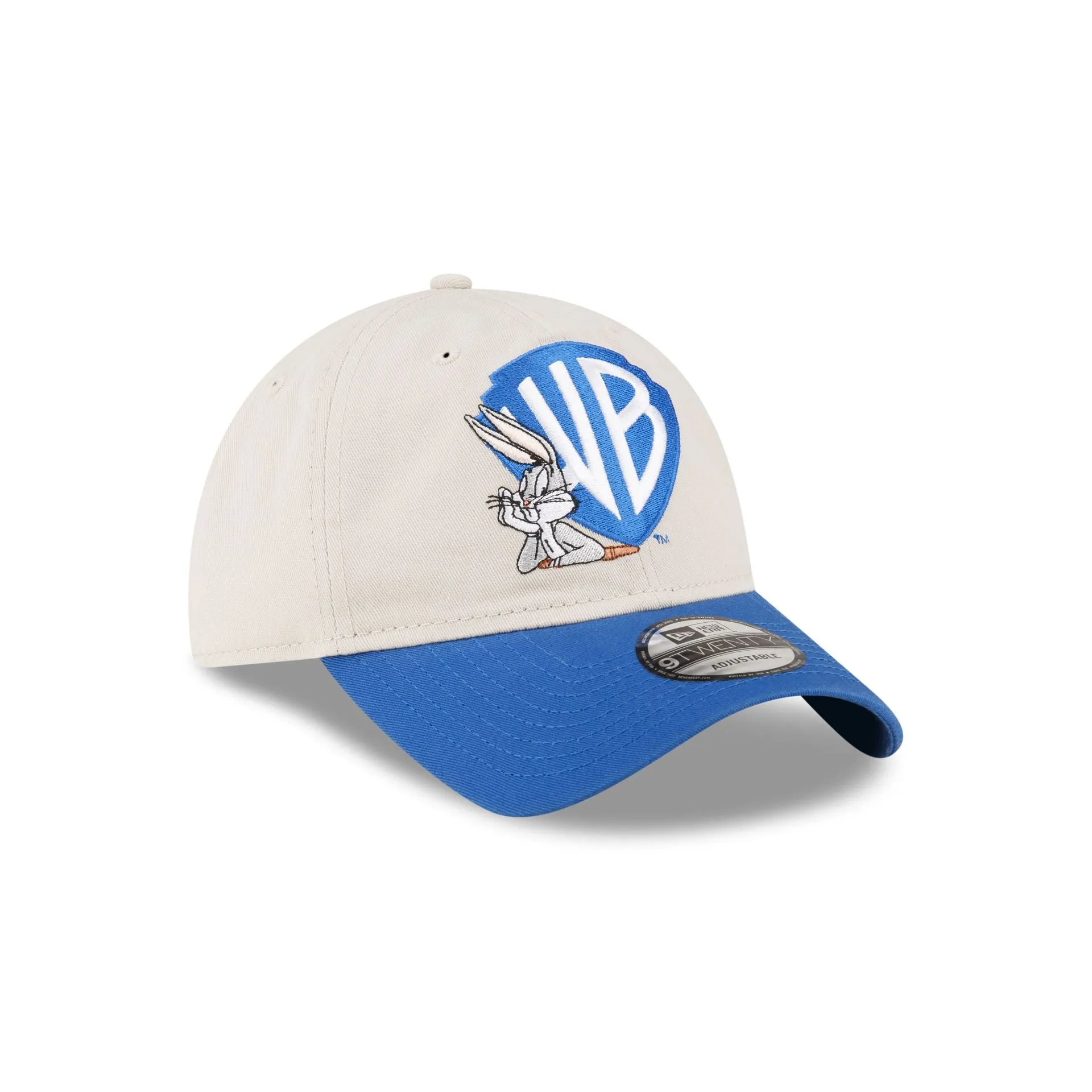 Warner Brothers Shield Pack 9TWENTY Adjustable Hat